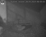Capi_Dubne_20250526_000503.jpg