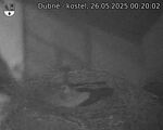 Capi_Dubne_20250526_002002.jpg