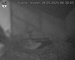 Capi_Dubne_20250526_003003.jpg