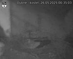 Capi_Dubne_20250526_003503.jpg
