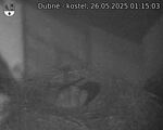 Capi_Dubne_20250526_011503.jpg