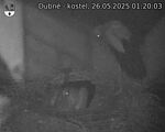 Capi_Dubne_20250526_012003.jpg