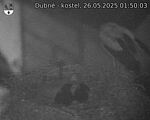 Capi_Dubne_20250526_015003.jpg