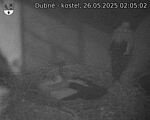 Capi_Dubne_20250526_020502.jpg