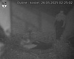 Capi_Dubne_20250526_022502.jpg