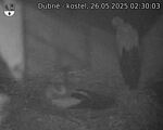Capi_Dubne_20250526_023003.jpg