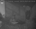 Capi_Dubne_20250526_023502.jpg