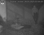 Capi_Dubne_20250526_030503.jpg