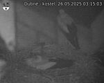 Capi_Dubne_20250526_031503.jpg