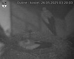 Capi_Dubne_20250526_032003.jpg