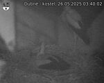 Capi_Dubne_20250526_034002.jpg