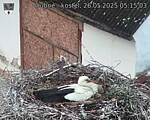 Capi_Dubne_20250526_051503.jpg