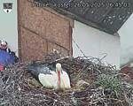 Capi_Dubne_20250526_064503.jpg