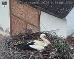 Capi_Dubne_20250526_081503.jpg