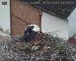 Capi_Dubne_20250526_090002.jpg