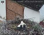 Capi_Dubne_20250526_090503.jpg