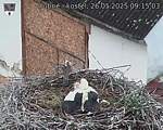 Capi_Dubne_20250526_091503.jpg