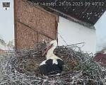 Capi_Dubne_20250526_094002.jpg