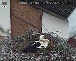 Capi_Dubne_20250526_095003.jpg