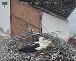 Capi_Dubne_20250526_100003.jpg