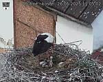 Capi_Dubne_20250526_110502.jpg