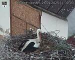 Capi_Dubne_20250526_113003.jpg