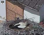 Capi_Dubne_20250526_120503.jpg