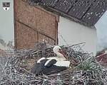 Capi_Dubne_20250526_130003.jpg
