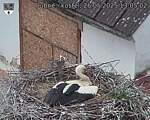 Capi_Dubne_20250526_130502.jpg