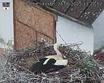 Capi_Dubne_20250526_132002.jpg