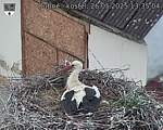 Capi_Dubne_20250526_133504.jpg