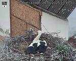 Capi_Dubne_20250526_134503.jpg