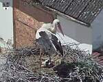 Capi_Dubne_20250526_140002.jpg