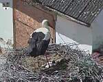 Capi_Dubne_20250526_140502.jpg