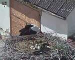 Capi_Dubne_20250526_141502.jpg