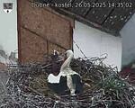 Capi_Dubne_20250526_143502.jpg