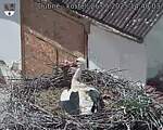 Capi_Dubne_20250526_144003.jpg