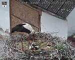 Capi_Dubne_20250526_144502.jpg