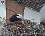 Capi_Dubne_20250526_145003.jpg
