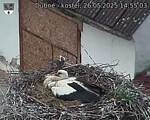 Capi_Dubne_20250526_145503.jpg