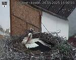 Capi_Dubne_20250526_150003.jpg