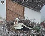Capi_Dubne_20250526_151503.jpg