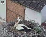 Capi_Dubne_20250526_152002.jpg