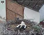 Capi_Dubne_20250526_152503.jpg