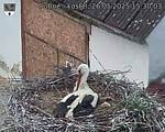Capi_Dubne_20250526_153003.jpg