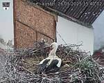 Capi_Dubne_20250526_154002.jpg