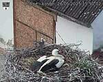 Capi_Dubne_20250526_155002.jpg