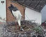 Capi_Dubne_20250526_160002.jpg