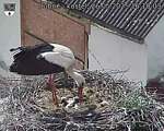 Capi_Dubne_20250526_161003.jpg