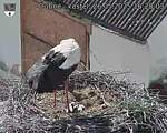 Capi_Dubne_20250526_162003.jpg